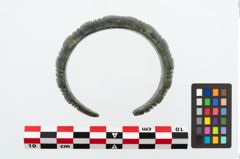 Foto von Bronzemelonenarmreif (NHMW-PRAE-025379)